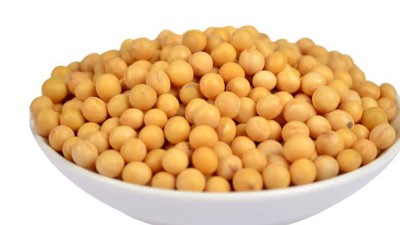 生产大豆活性肽用哪种酶制剂？