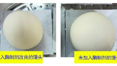 一文详解面包酶制剂有什么作用？