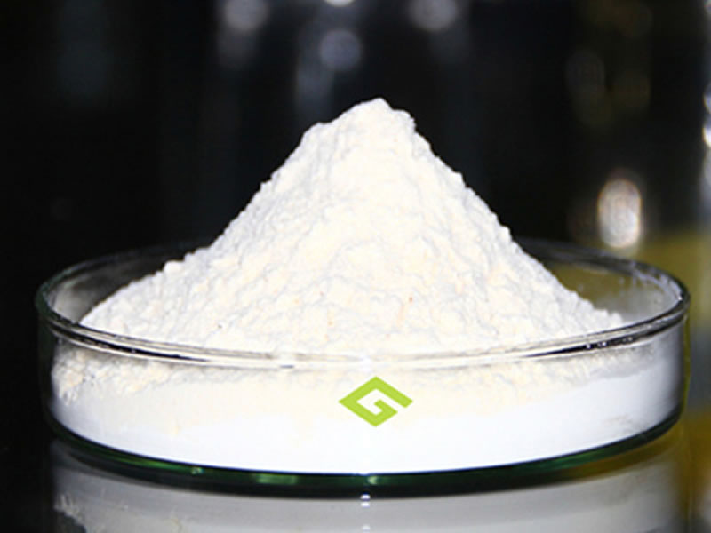 鲨鱼软骨硫酸软骨素