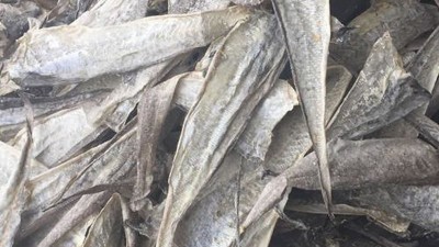 水解鱼皮做胶原蛋白肽有苦味，风味酶能去除苦味吗？